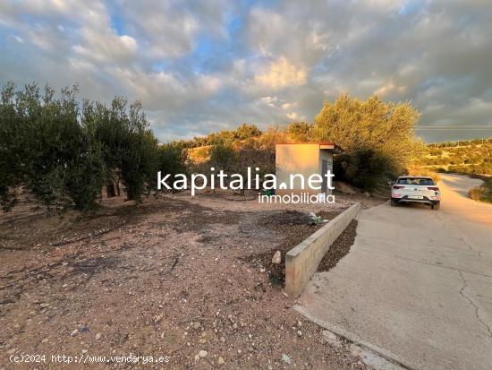  TERRENO AGRICOLA A LA VENTA EN ROTGLA CORBERA - VALENCIA 