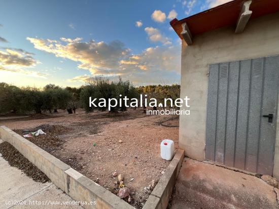 TERRENO AGRICOLA A LA VENTA EN ROTGLA CORBERA - VALENCIA