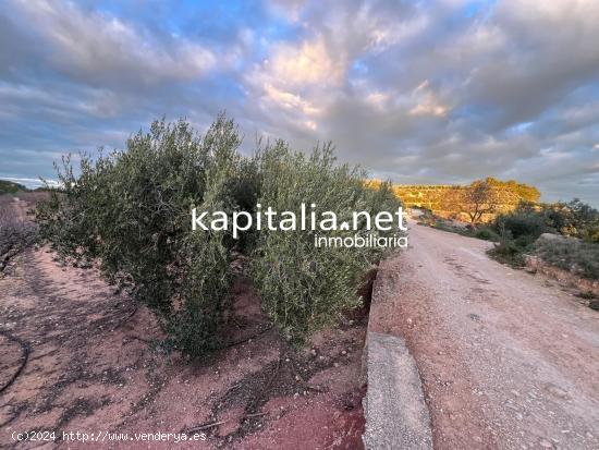 TERRENO AGRICOLA A LA VENTA EN ROTGLA CORBERA - VALENCIA