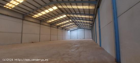  Nave industrial a la venta en polígono de Altura ( Castellón) - CASTELLON 