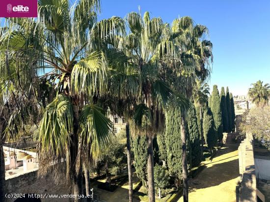  MAGNIFICA CASA EN EL CENTRO DE JEREZ - CADIZ 