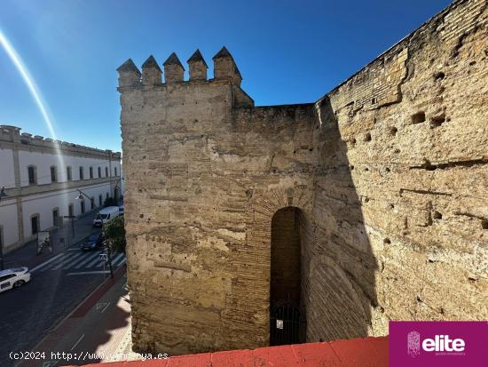 MAGNIFICA CASA EN EL CENTRO DE JEREZ - CADIZ