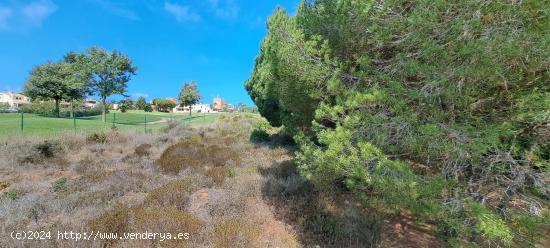 PARCELA URBANA EN LA LOMA - CADIZ