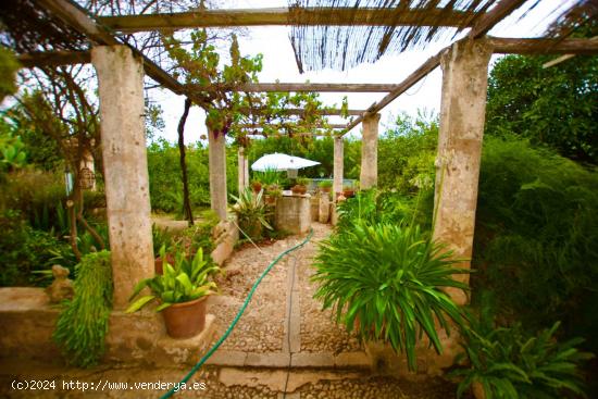  Casa con Cedula de Habitabilidad Y Terreno de 7.100m2 en el Secar de la Real - BALEARES 