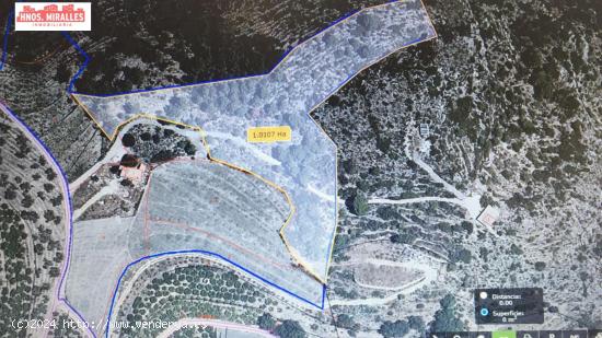 SE VENDE TERRENO RURAL DE 26000M2 - ALICANTE