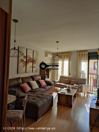 INMOBILIARIA TEJARES VENDE PISO EN CHINCHILLA DE MONTE ARAGON - ALBACETE