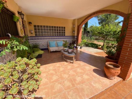 Preciosa casa con opción de 2 viviendas en La Bisbal de Penedés. - TARRAGONA