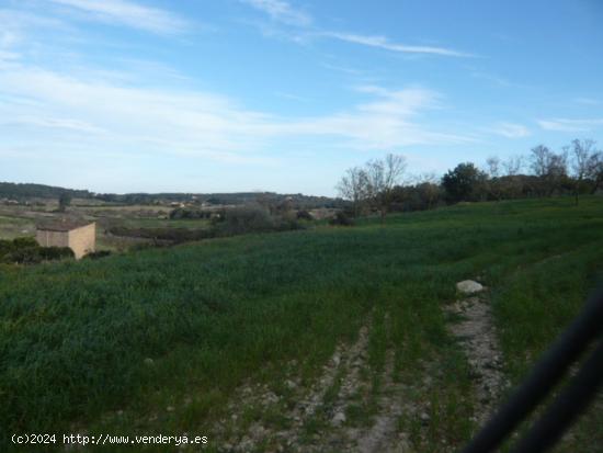 Montuïri , rústica con casita en venta. - BALEARES