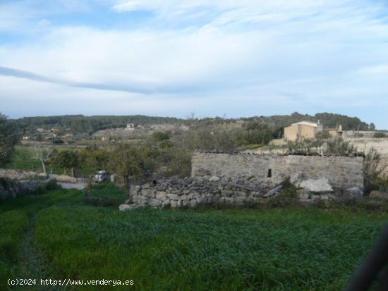 Montuïri , rústica con casita en venta. - BALEARES