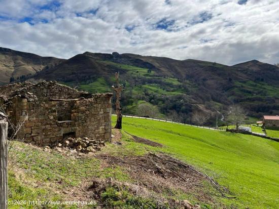 SARO. TERRENO DE 18490 METROS CON CABAÑA PARA REHABILITAR - CANTABRIA