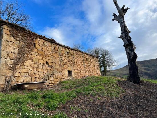 SARO. TERRENO DE 18490 METROS CON CABAÑA PARA REHABILITAR - CANTABRIA