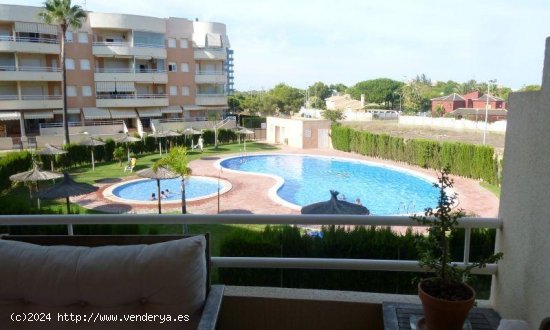  Apartamento en venta en Orihuela (Alicante) 