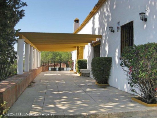 Finca en venta en Mijas (Málaga)