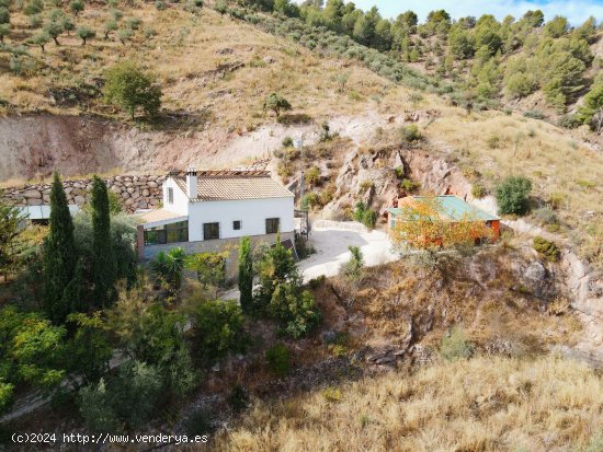 Finca en venta en El Burgo (Málaga)