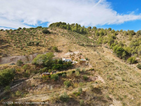 Finca en venta en El Burgo (Málaga)