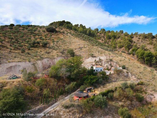 Finca en venta en El Burgo (Málaga)