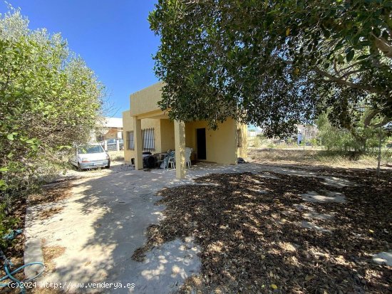  Casa en venta en Crevillent (Alicante) 