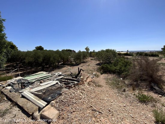 Casa en venta en Crevillent (Alicante)