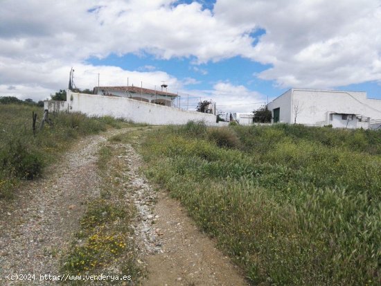 Finca en venta en Mijas (Málaga)