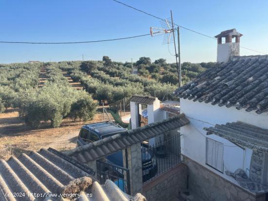 CORTIJO  RURAL EN  ALGARINEJO  (LOJA GRANADA) - GRANADA