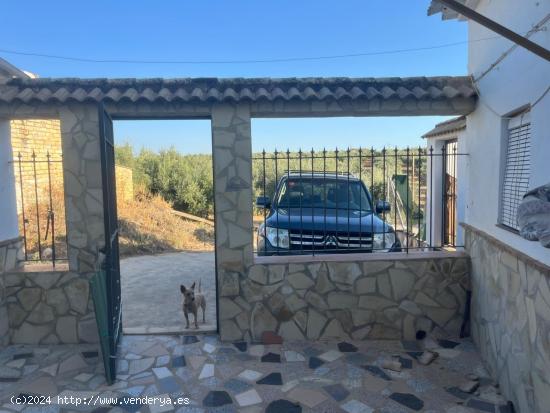 CORTIJO  RURAL EN  ALGARINEJO  (LOJA GRANADA) - GRANADA