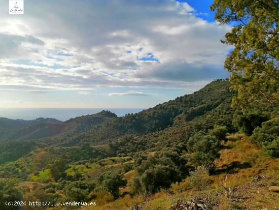 TERRENO PROXIMO USO RESIDENCIAL EN ZONA PINARES DE SAN ANTON (MALAGA) - MALAGA