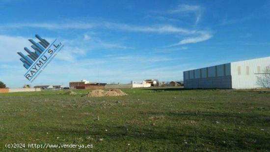  RAYMU Vende - CIUDAD REAL 