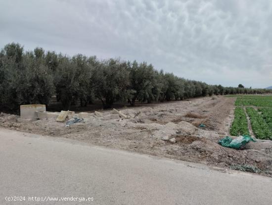 Terreno de Regadío - La Hoya, Lorca - MURCIA