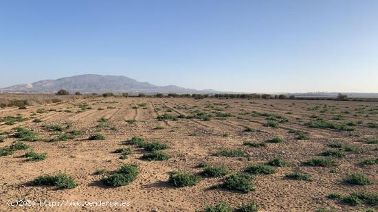 Terreno Rústica - Paraje de la Alcanara, Alhama de Murcia - MURCIA