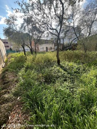 Terreno urbano en Avenida Alcora - CASTELLON