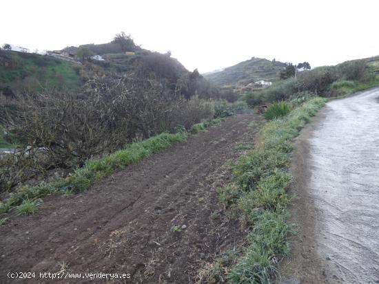 SE VENDE PARCELA RUSTICA - LAS PALMAS