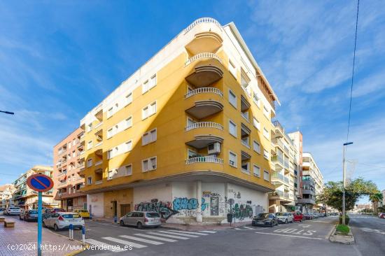 APARTAMENTO DE 2 DORMITORIOS 1 BAÑO A 300 METROS DEL MAR EN TORREVIEJA ( ALICANTE ) - ALICANTE