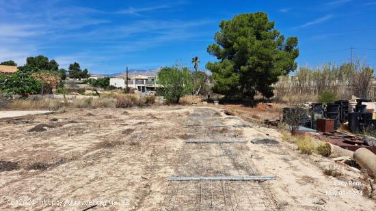 Se Alquila en San Vicente del Raspeig - ALICANTE