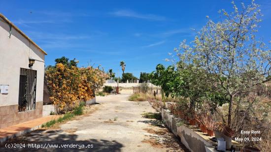 Se Alquila en San Vicente del Raspeig - ALICANTE