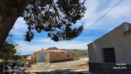 Se Alquila en San Vicente del Raspeig - ALICANTE