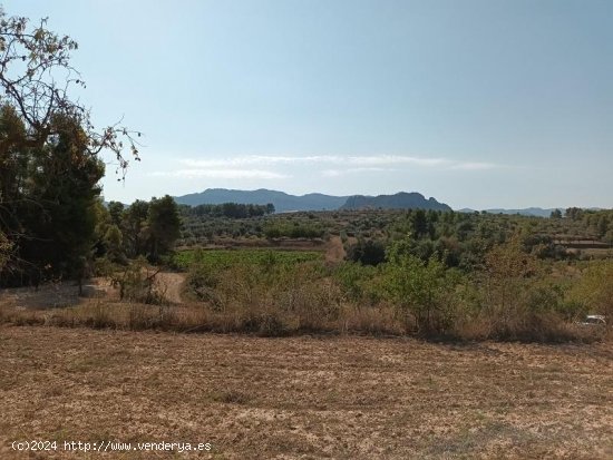 Suelo rústico en venta  en Horta de Sant Joan - Tarragona