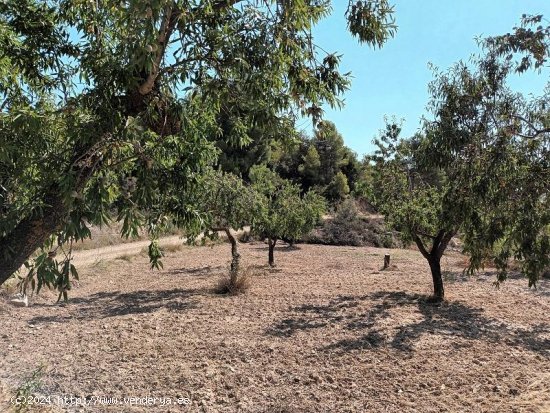 Suelo rústico en venta  en Horta de Sant Joan - Tarragona