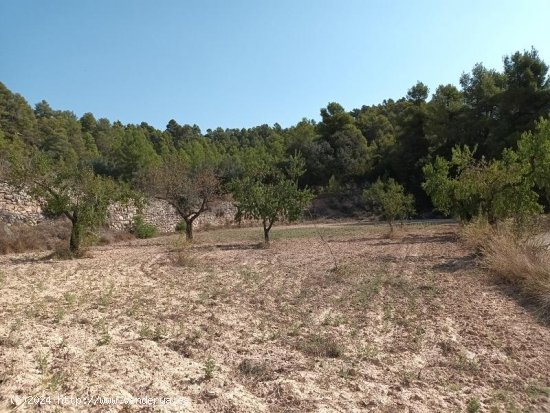 Suelo rústico en venta  en Horta de Sant Joan - Tarragona