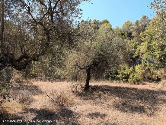 Suelo rústico en venta  en Horta de Sant Joan - Tarragona