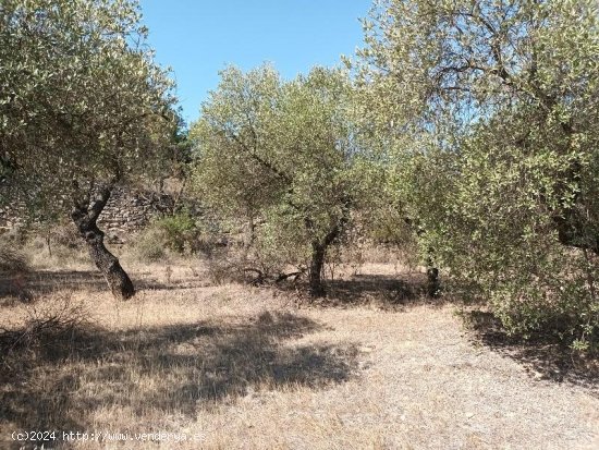 Suelo rústico en venta  en Horta de Sant Joan - Tarragona