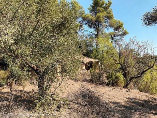 Suelo rústico en venta  en Horta de Sant Joan - Tarragona