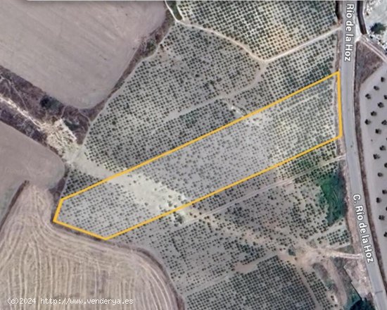 Oportunidad Estratégica en Montilla: Terreno cultivado de viña Urbanizable para Inversores y Agric