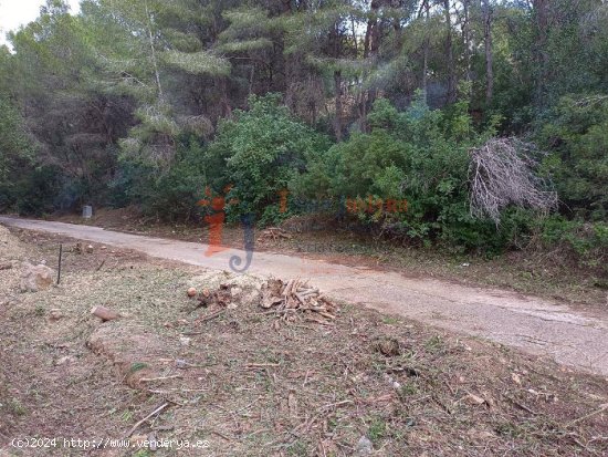 Parcela en Sierra de Altea