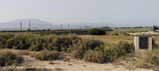 SE VENDE TERRENO DE 14.594 METROS CUADRADOS EN MUY BUENA ZONA A 20 MINUTOS DE ALICANTE - ALICANTE