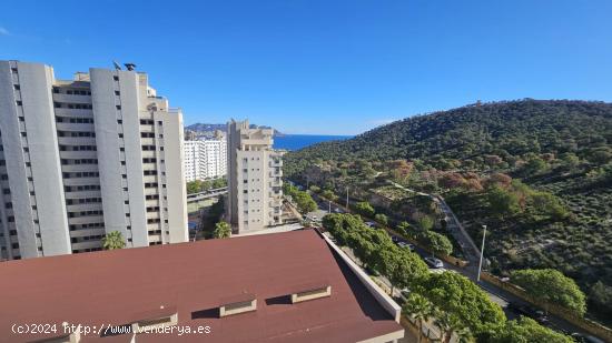 CALA   VILLAJOYOSA   VENDO PISO DE 1 DORMITORIO - ALICANTE