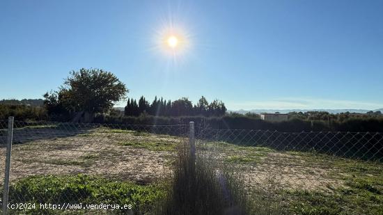 VENTA DE TERRENO EN TORREALTA - MOLINA DE SEGURA - MURCIA