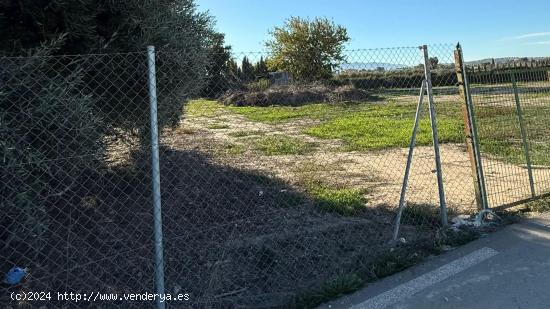 VENTA DE TERRENO EN TORREALTA - MOLINA DE SEGURA - MURCIA