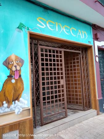 Venta Local Comercial en San Roque - BADAJOZ