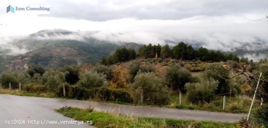 EN PLENA SIERRA DE CAZORLA, SEGURA Y LAS VILLAS - ALBACETE