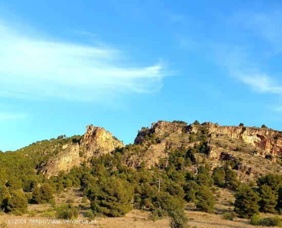 TU HOGAR JUNTO A LA SUBIDA DE LA CRESTA DEL GALLO ( PARQUE REGIONAL EL VALLE Y CARRASCOY) - MURCIA